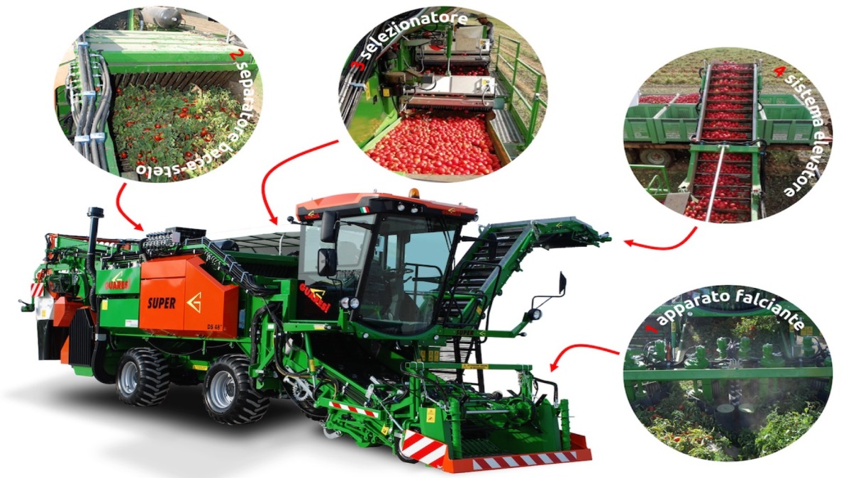 Una moderna macchina per la raccolta del pomodoro